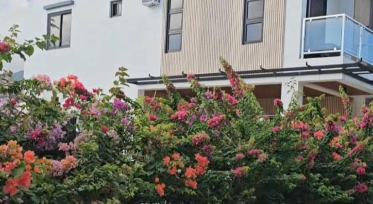 House with pool | Close to the beach | Pet-friendly in Puerto Galera