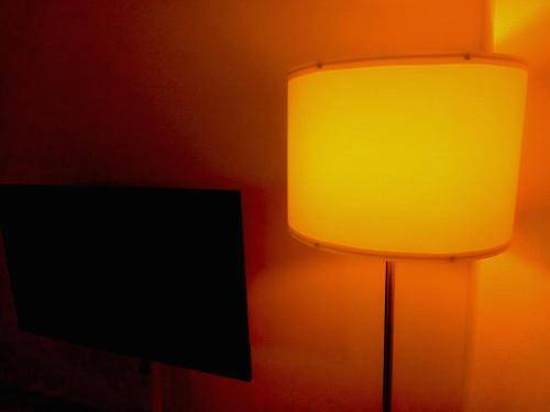 foto11