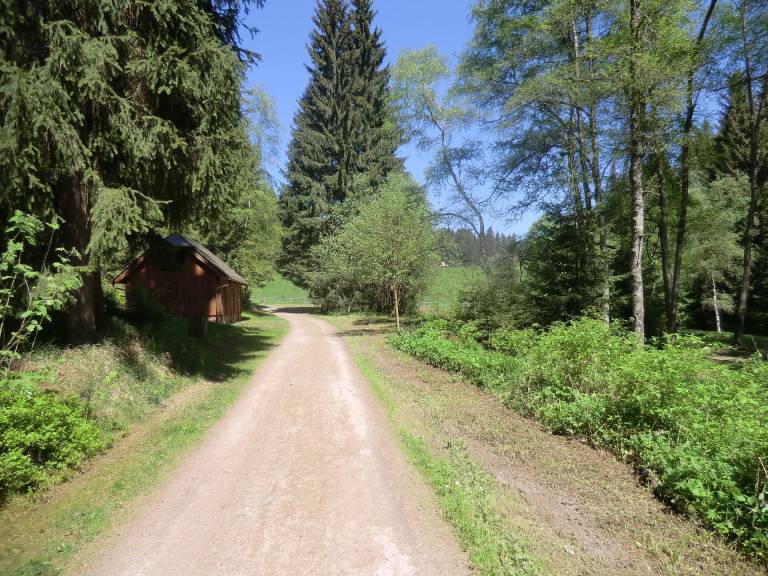 foto19