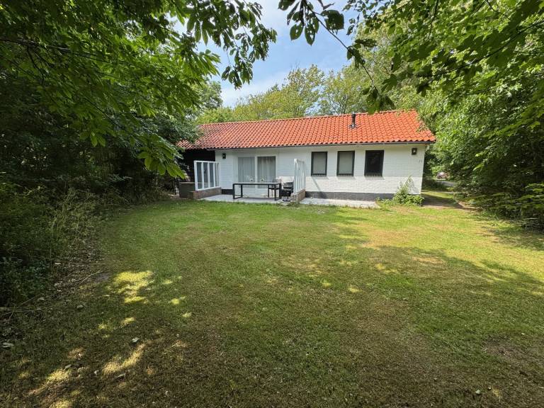 foto1