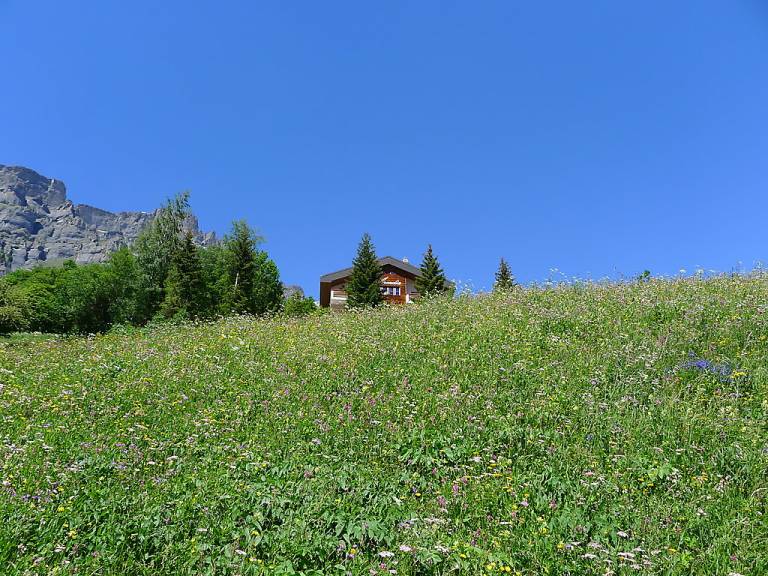 foto12