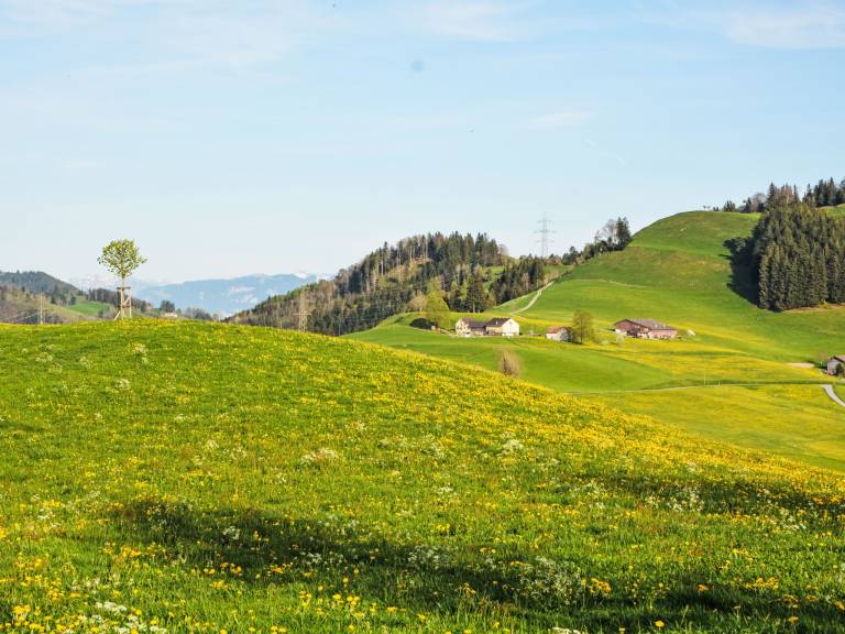foto15