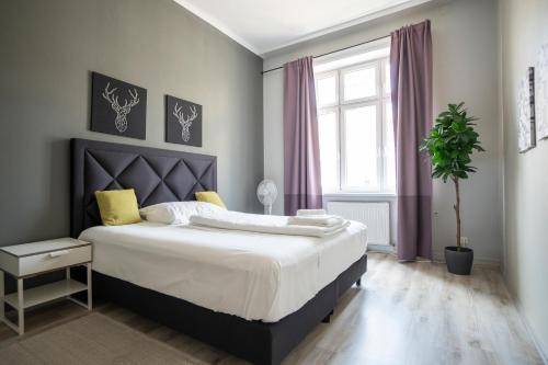 Apartment Leopoldstadt