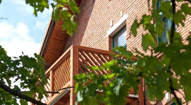 Rental apartment with barbecue, sauna & yard | Dogs allowed in Thale