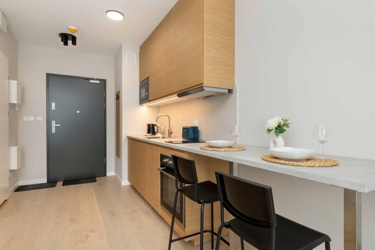 Family-oriented studio with fast internet | Dogs allowed — photo 2
