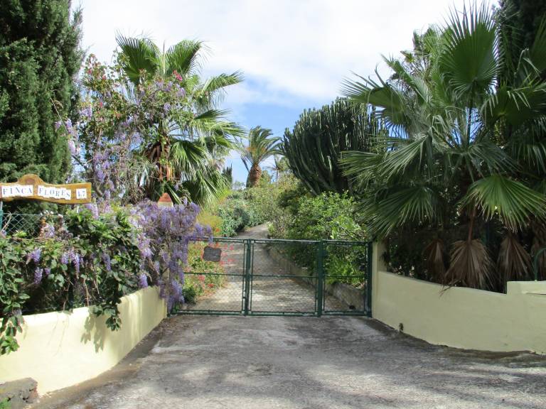 Apartment Breña Alta
