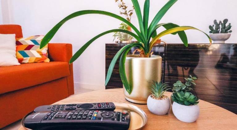 Fully equipped charming apartment with terrace | Perfect for remote work | Dogs allowed — photo 5