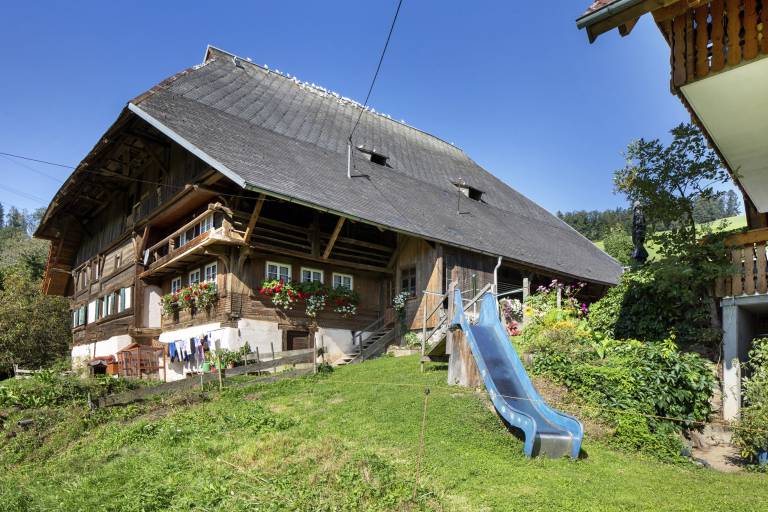 foto29