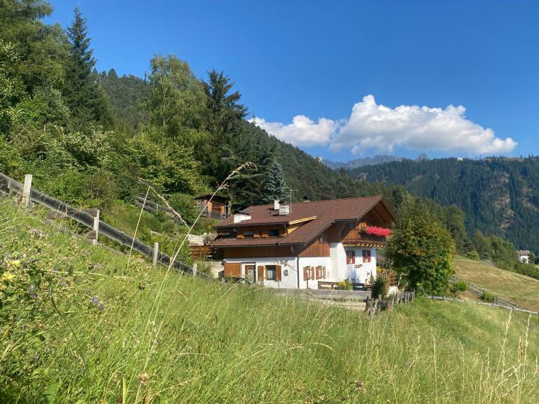 foto19