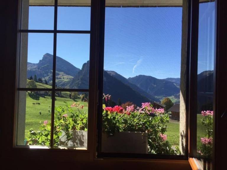 Ferienwohnung in Diemtigen, Kanton Bern, Schweiz