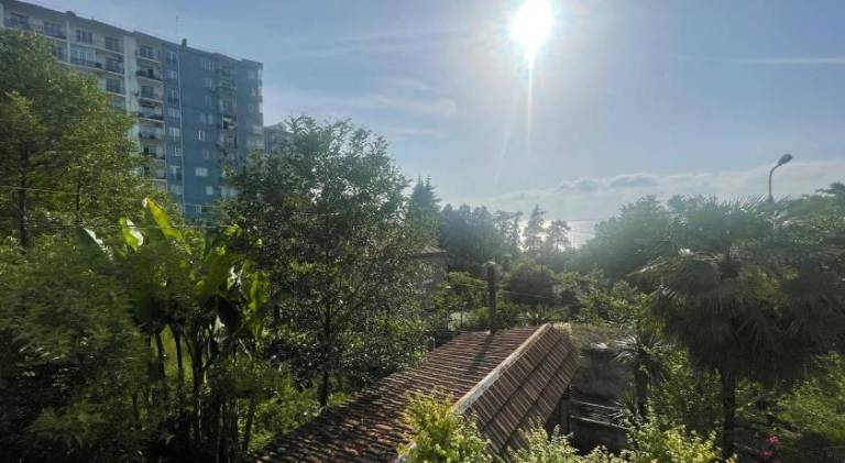 foto28