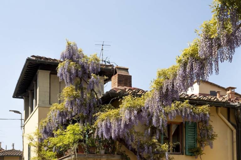 Bed & Breakfast Firenze