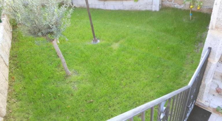 foto19