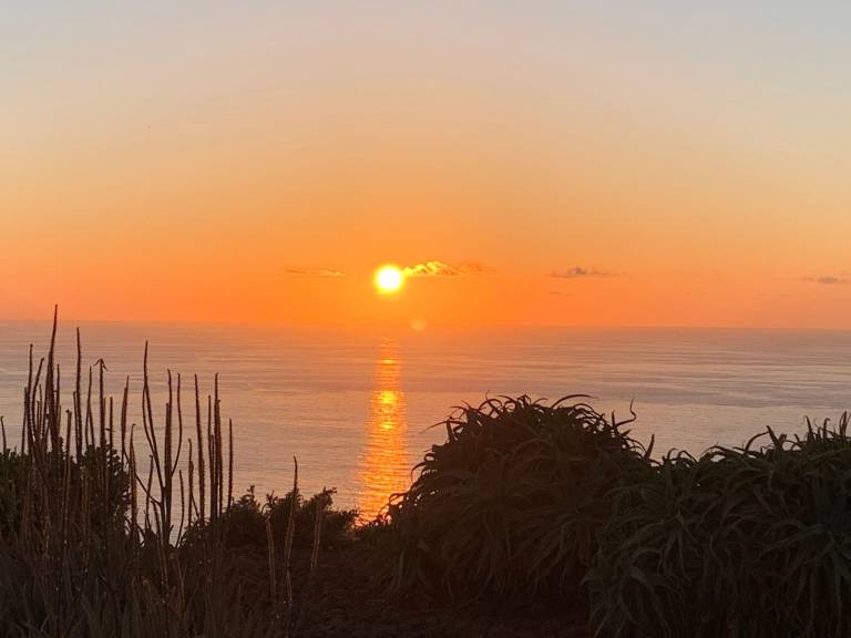 foto45