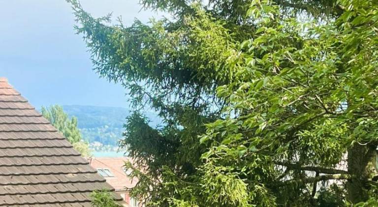 foto44