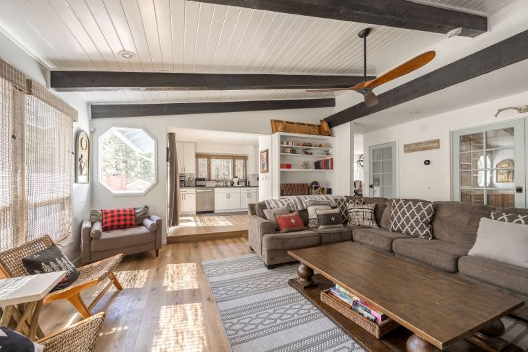 Bear Necessities. New. Modern. Spa. Perfect. Pet Friendly. 3X2 PROMO — photo 5