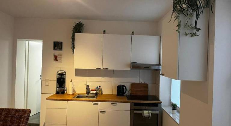 Lovely holiday apartment | Pets are welcome — photo 3