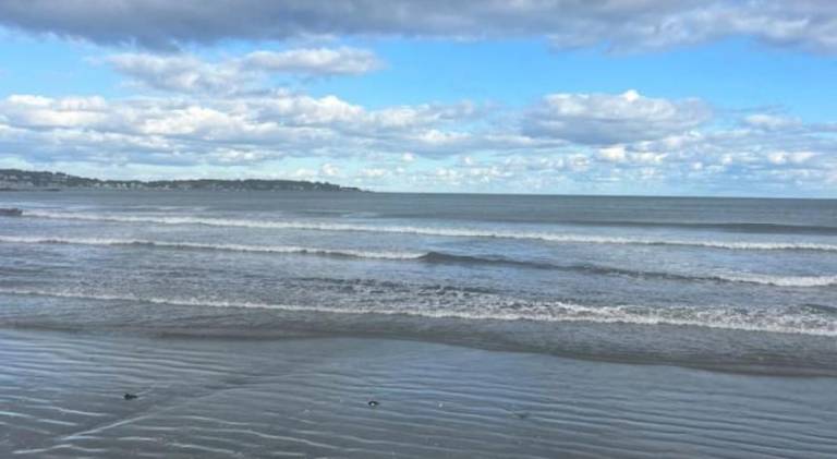 Swampscott Walk Downtown and beach — photo 5