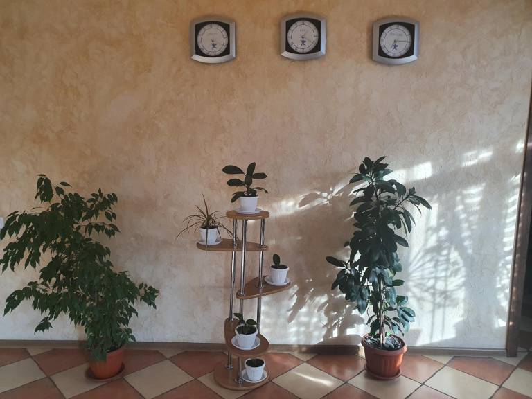 foto5