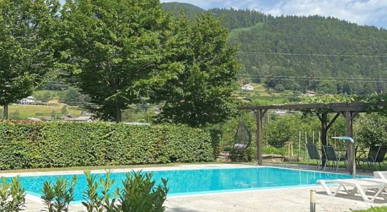 Farm with barbeque, terrace & private pool — photo 5