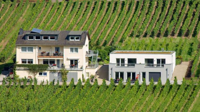 Ferienwohnung  Pünderich