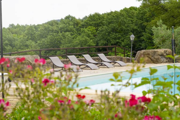 Fully equipped ample villa with private pool, barbecue & garden | Garden view | Dogs allowed — photo 3
