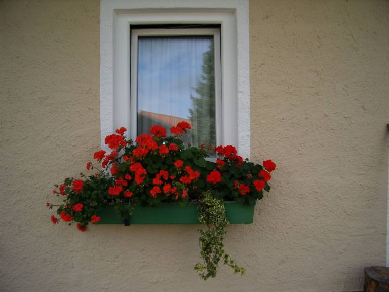 foto17