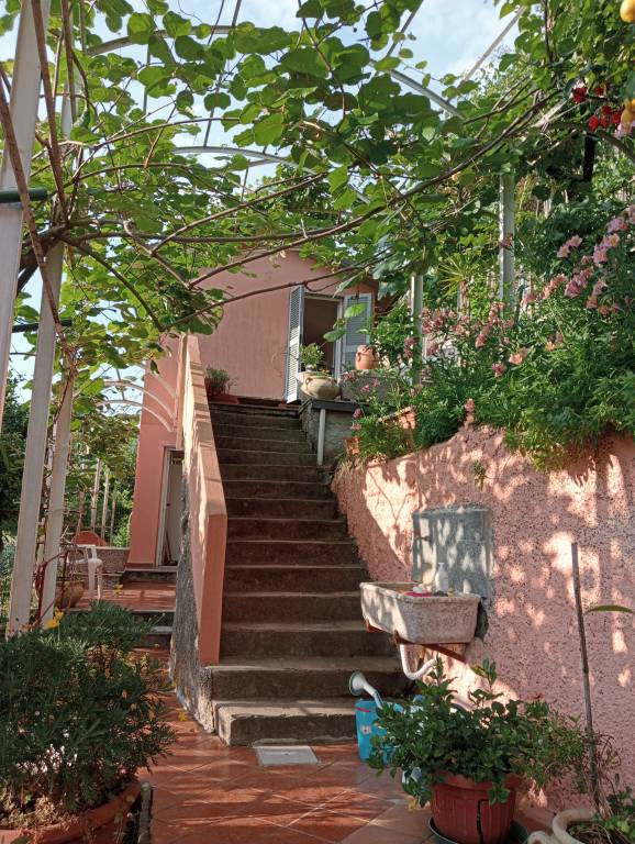 foto11