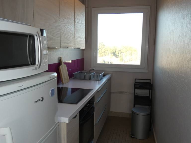 Holiday Rental Renovated Apt. Sea View Saint-Jean-de-Monts - 6 Pers. — photo 4