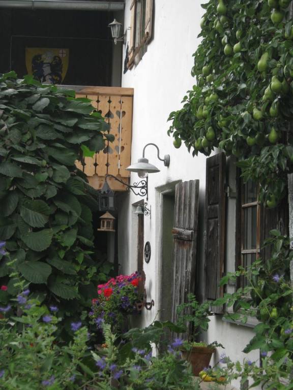 foto29
