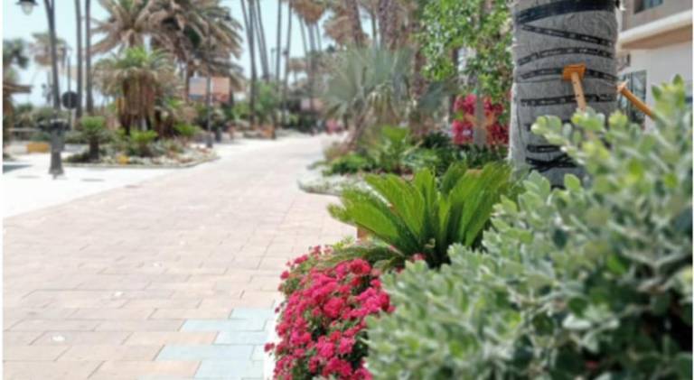 Fully equipped beautiful rental apartment | Next to the beach | Good for workation | Pet-friendly — photo 3