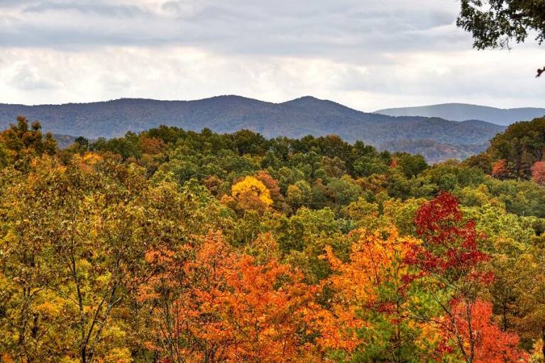 Wakin on a Pretty Day: Luxurious pet-friendly retreat with stunning mountain views, hot tub, outdoor fireplace, pool table, WiFi, and downtown convenience — photo 2