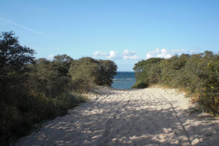 foto14