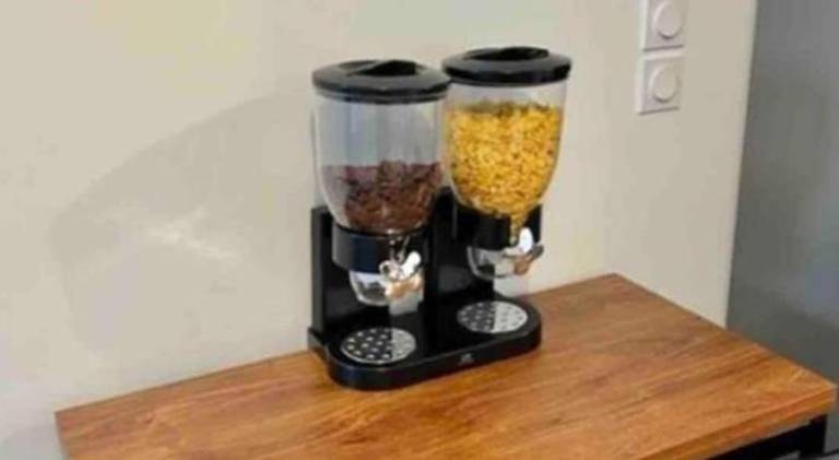 Serviced apartment | Pets are welcome — photo 4