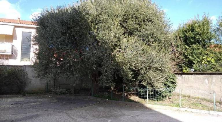 Appartamento  Abbiategrasso