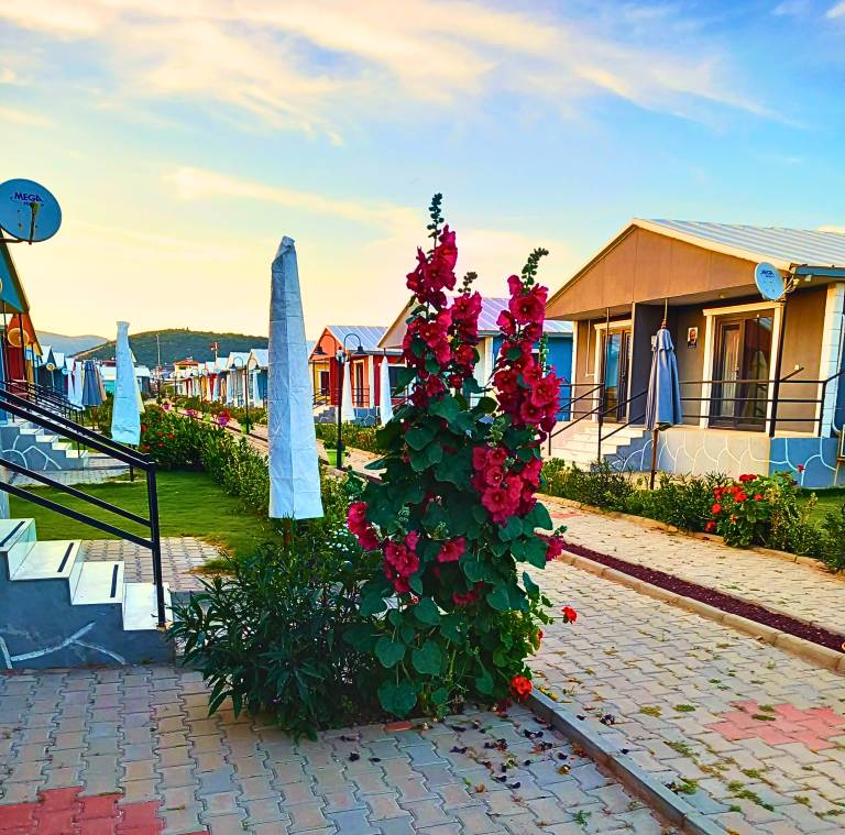 Family-oriented charming bungalow with yard, BBQ & terrace | Water view | Pet-friendly — photo 2