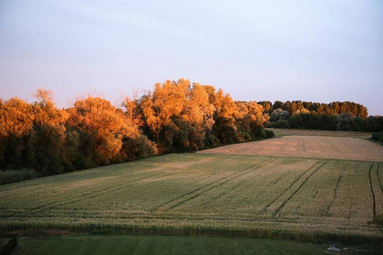 foto23