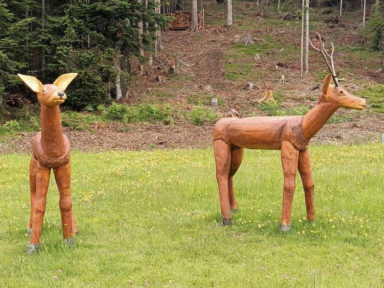 Appartamento Danta di Cadore