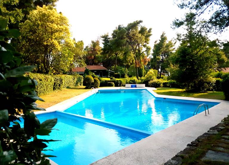 Sani Pool Beach Villa - Private Garden & Swimming Pool — photo 5