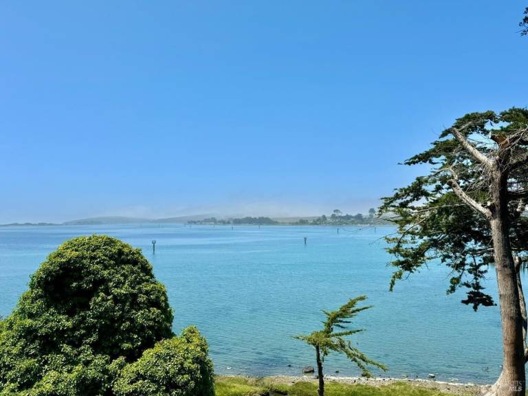 House Bodega Bay