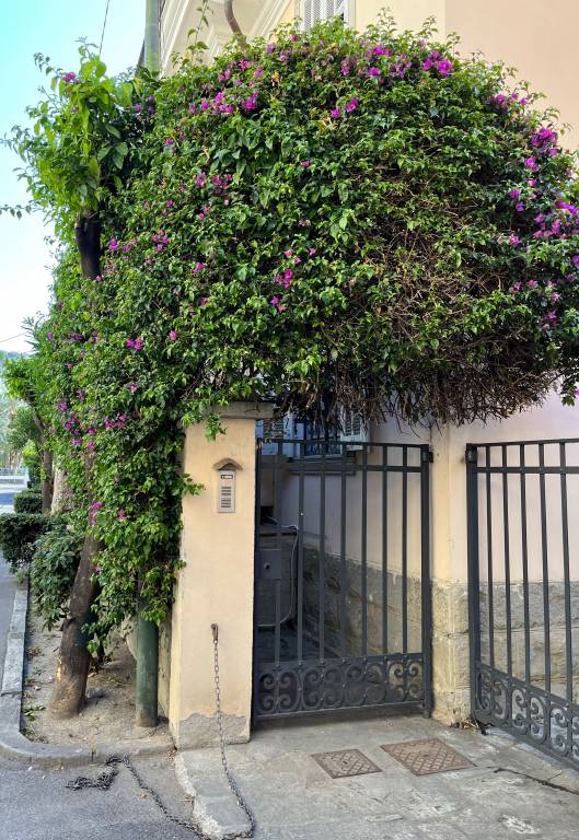 Family-oriented house with yard & patio | City view | Next to the beach | Pet-friendly — photo 5