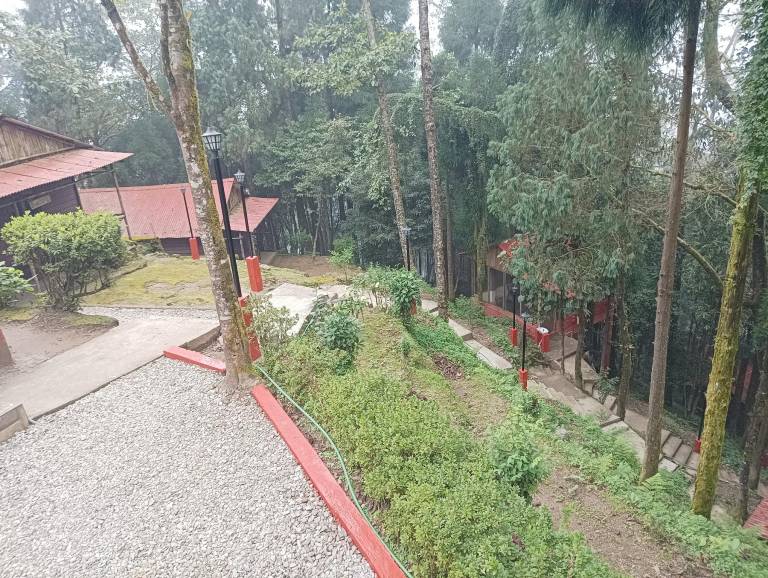 foto17