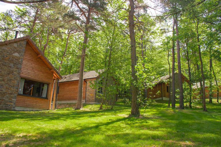 Chalet 6/8 personnes - Les Sous-Bois de la Bastide — photo 4