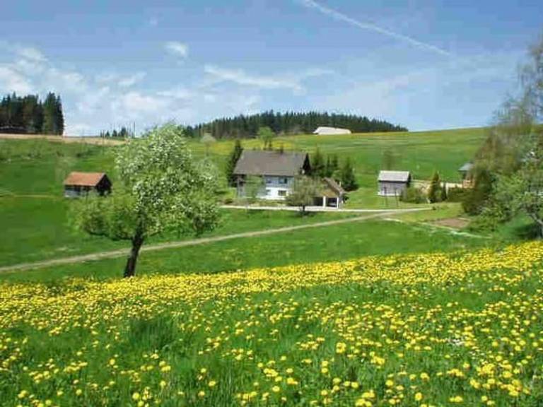 Holiday apartment with patio, garden & barbeque | Nature view — photo 2