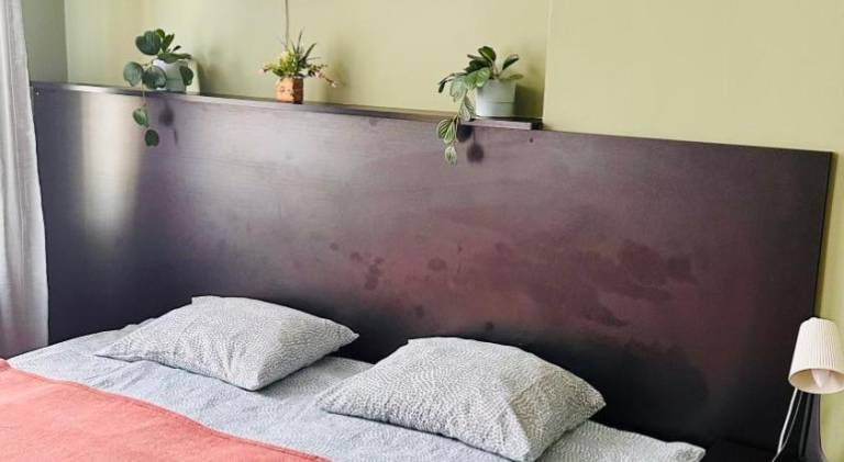 Apartment | Pets allowed in Bydgoszcz