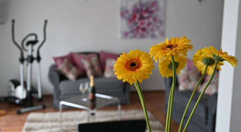 Apartma Sigetec Ludbreški