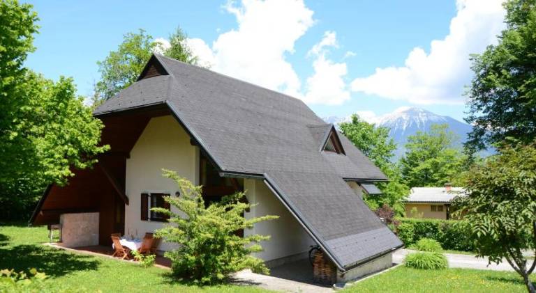 House | Perfect for remote work in Bled