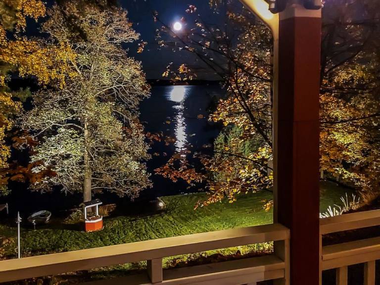 foto29