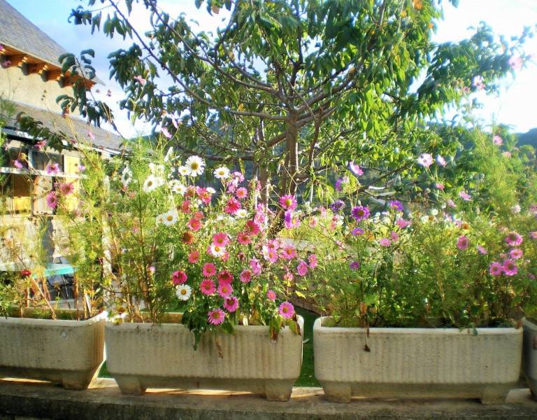 Holiday Home 'La Casa De Luis' with Mountain Views, Private Terrace and Wi-Fi — photo 4