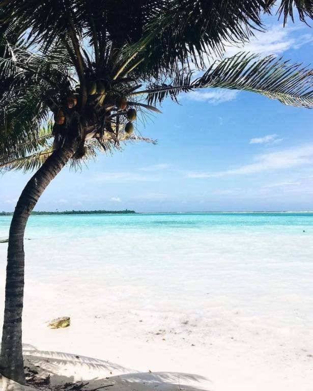 House  Cancún